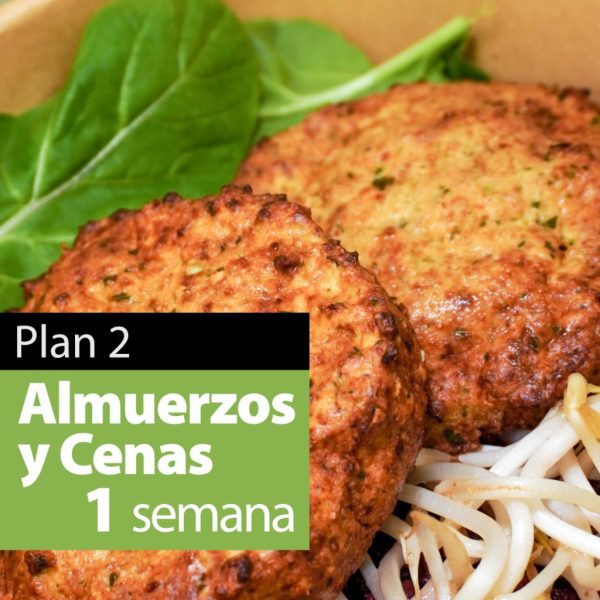 Plan 2 :: Almuerzos y Cenas para 1 semana