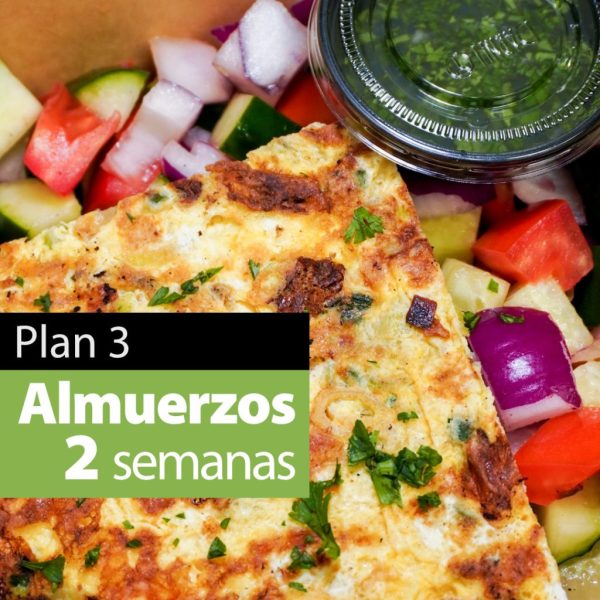 Plan 3 :: Almuerzos para 2 semanas