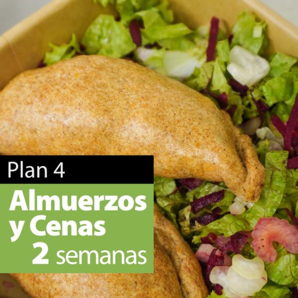 Plan 4 :: Almuerzos y Cenas para 2 semanas